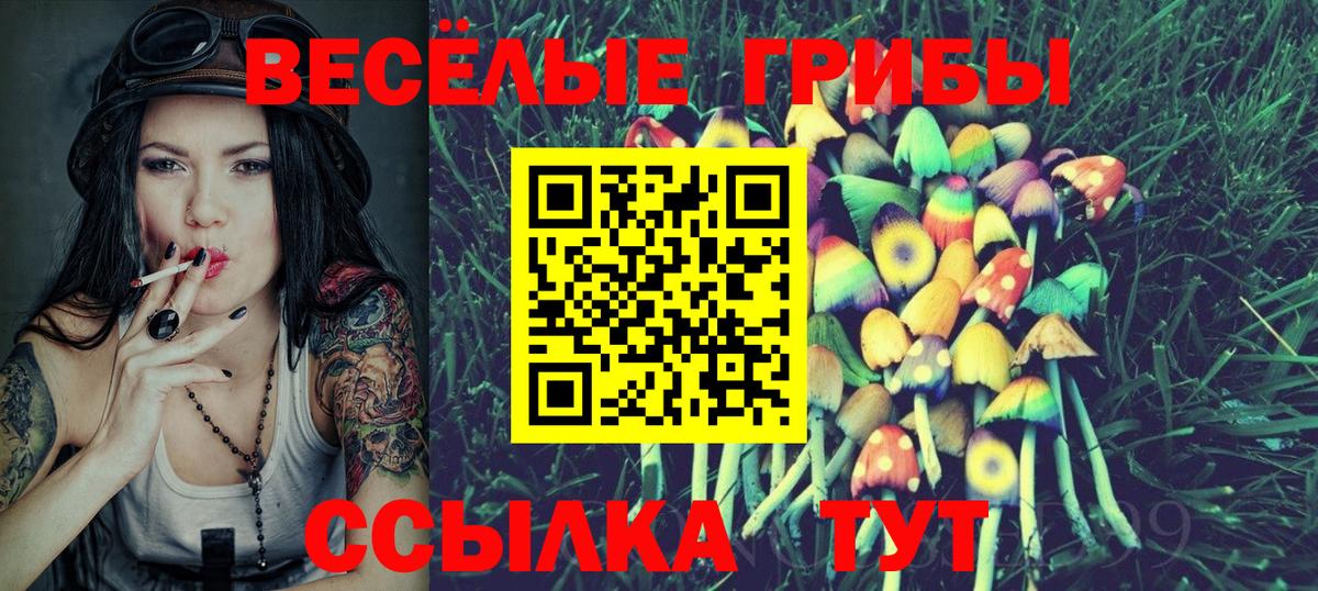 купить наркотик  Вход с VPN  Нижний Новгород  Псилоцибиновые грибы GOLDEN TEACHER 