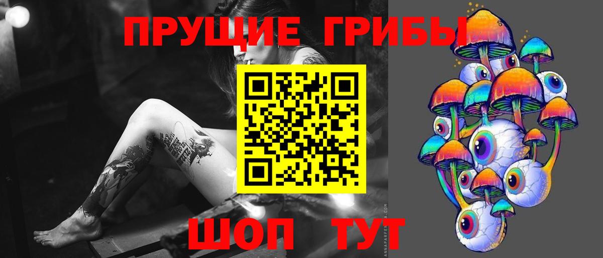 Псилоцибиновые грибы Magic Shrooms Нижний Новгород